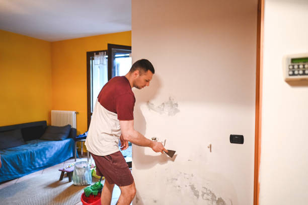 Best Toxic Mold Removal  in Portageville, MO